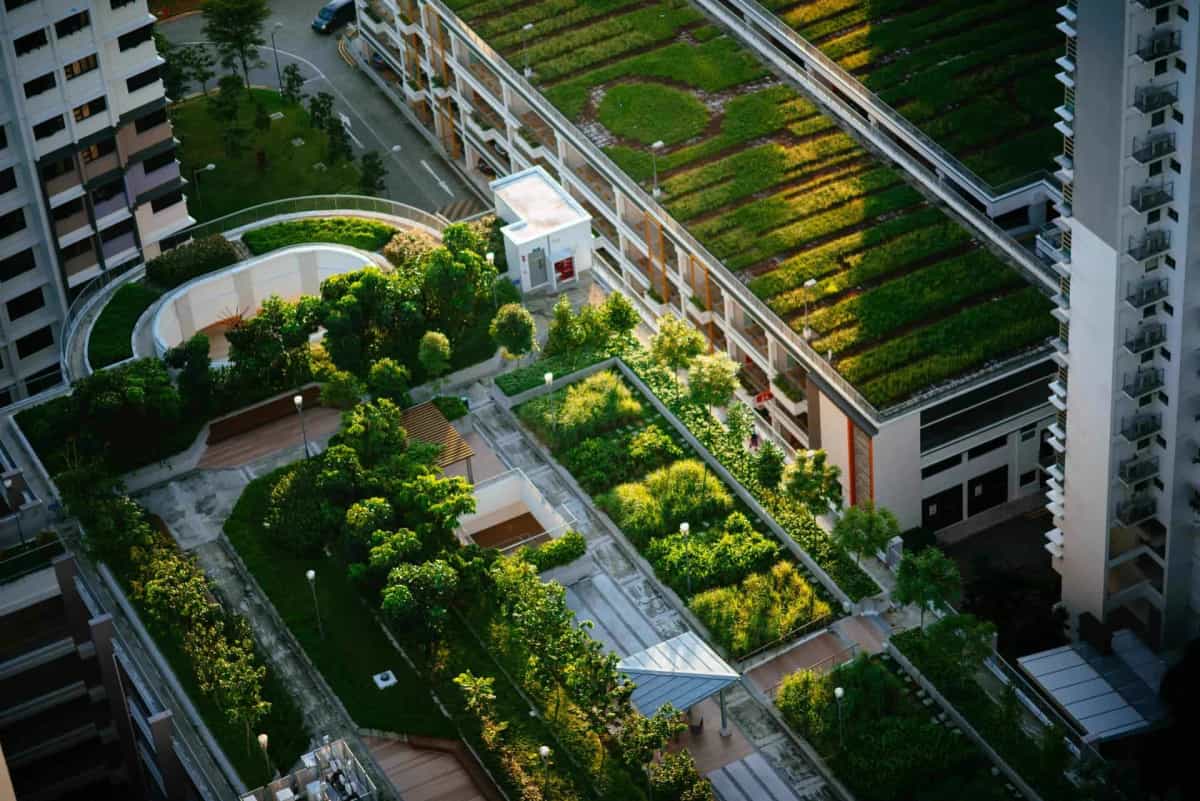 Exklusiver Dachgarten Bonn / Sankt Augustin – Garten- und Landschaftsbau Brüder Berisha GaLaBau