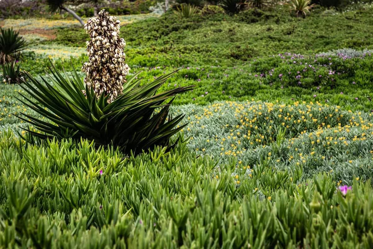 Gartengestaltung Bepflanzung Köln – Brüder Berisha Garten- und Landschaftsbau